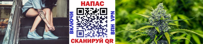 Каннабис сатива  где купить наркотик  Буинск 